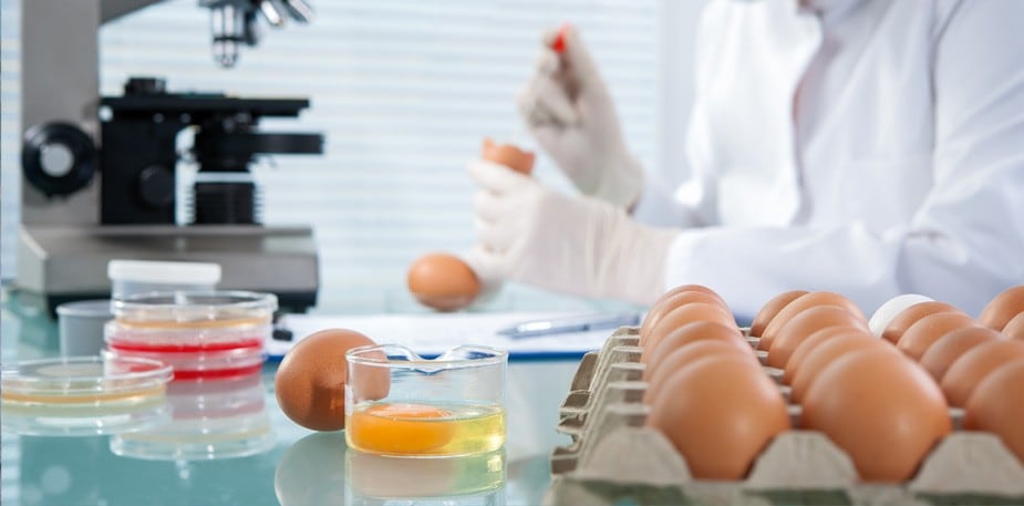 【食在新聞】禽蛋芬普尼首訂限量標準  違法最高罰6億